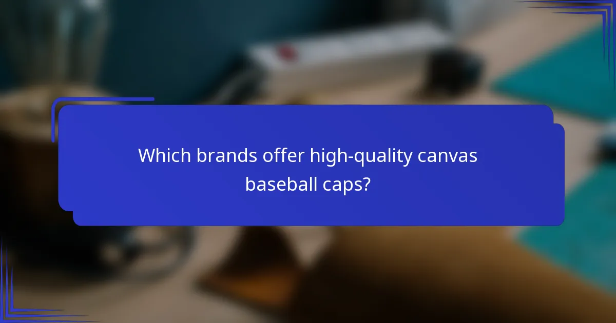 Welke merken bieden hoogwaardige canvas baseballcaps aan?