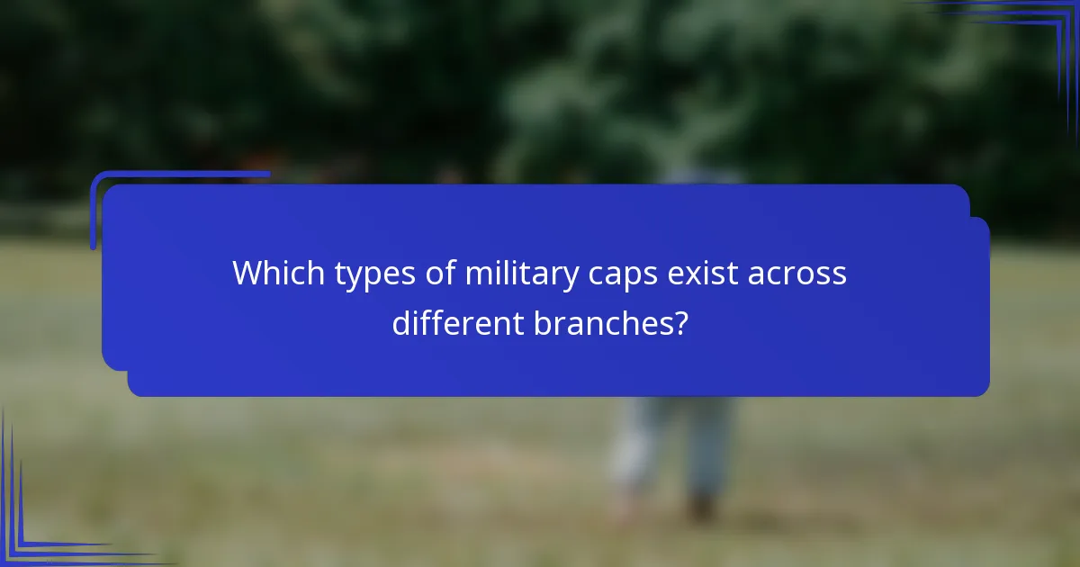 Welke soorten militaire petten bestaan er in verschillende takken?